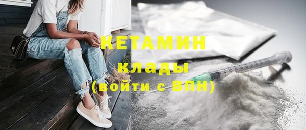 индика Снежногорск