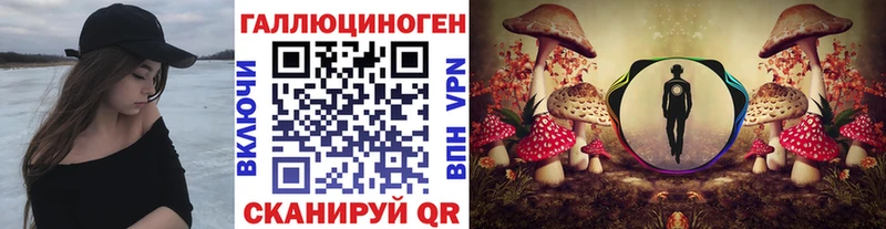 наркота Городовиковск ссылка на мегу ссылки Псилоцибиновые грибы Cubensis